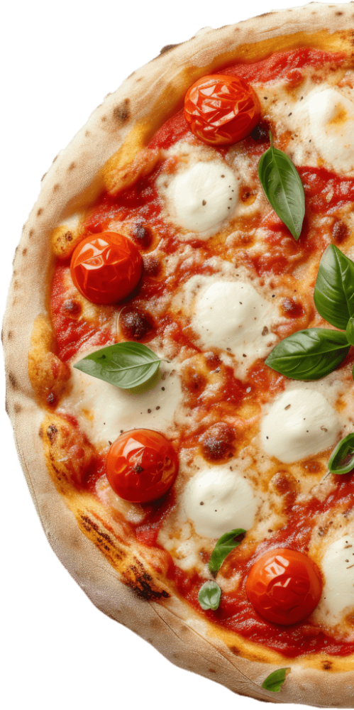 moitie de pizza